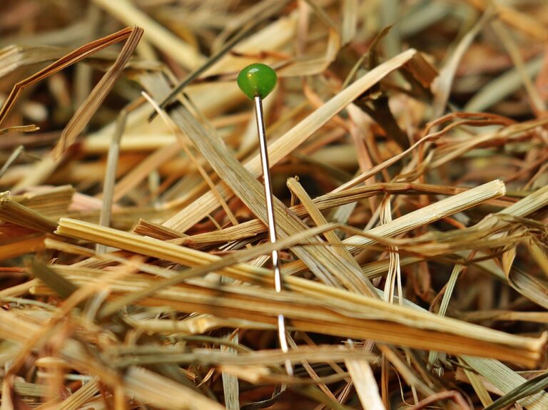 needle in a haystack, needle, haystack, love, pin, find, looking for, lost, hay, proverb, phrase, hard to find, haystack, haystack, pin, pin, find, find, find, find, find, lost, lost, lost, hay